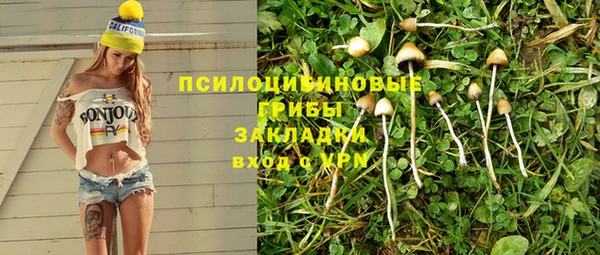 шишки Абдулино