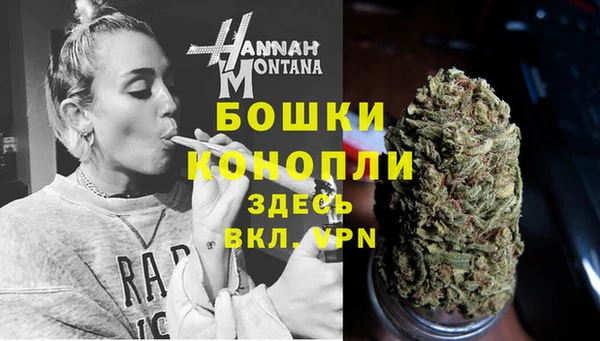 шишки Абдулино