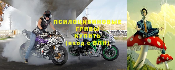а пвп мука Абаза